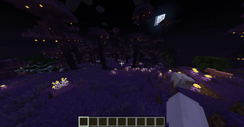 Added a super gorgeous Stardrop Land