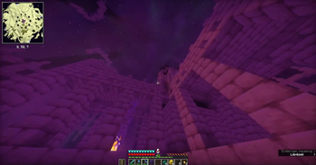 The Ender Dragon Fight!