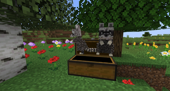 Raccoons looting