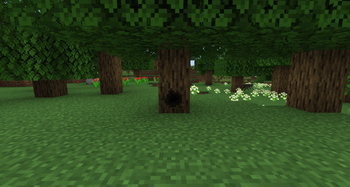 Raccoon Stash Tree