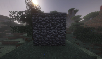 Hide The Bedrock