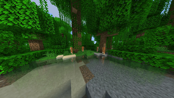 Thief Monkeys in Jungle