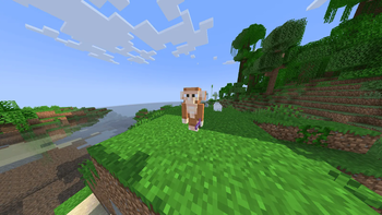 Monkey with item