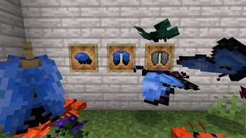 Butterfly items