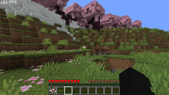 Fps test