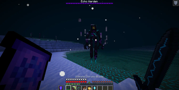 Echo warden fight preview 