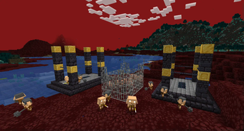 The Piglin invasion