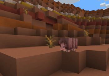 Backported features