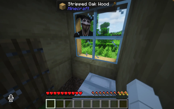window stalker