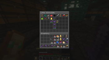 eoa-companion-ui