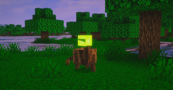 The Stump