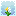 White Dandelions!