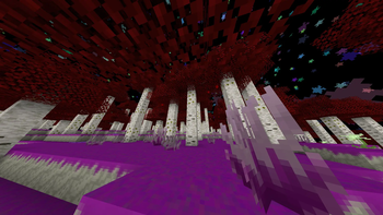 Eye Birch Forest
