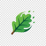 FastLeafDecayX