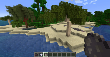 Palm Trees on the Shore