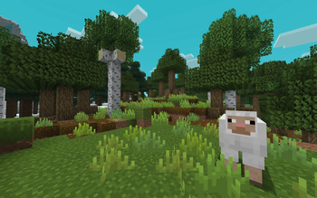 Forest with Sheep Looking at Me
