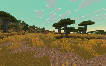 Savanna