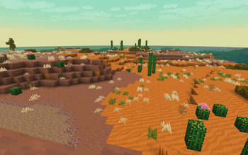 Desert Near Ocean