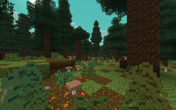 Old Growth Taiga