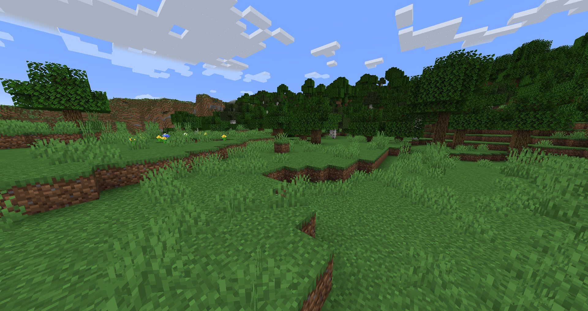 Plains next to Forest
