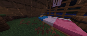 Junior ImagineerSMP