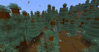 Redwood at day