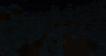Redwood at night