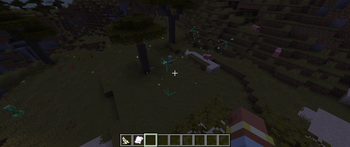 Building Being Cinstructed Part 1
