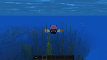 Scuba Gear