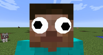 STEVE!