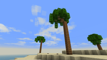A Scenic Beachside View