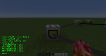MC-Networking — screenshot 1