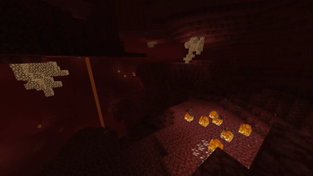 Nether wastes (Delight)