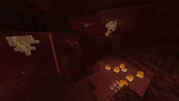 Nether wastes (vanilla)