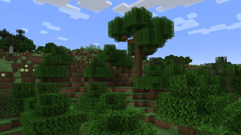 Forest (vanilla)