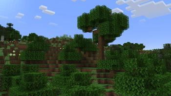 Forest (vanilla)