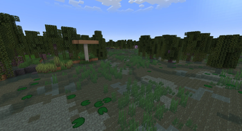 New and improved swamps