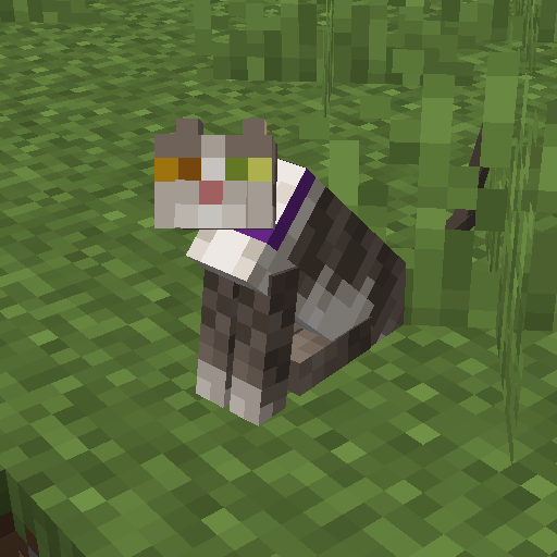 Look At My Cat
