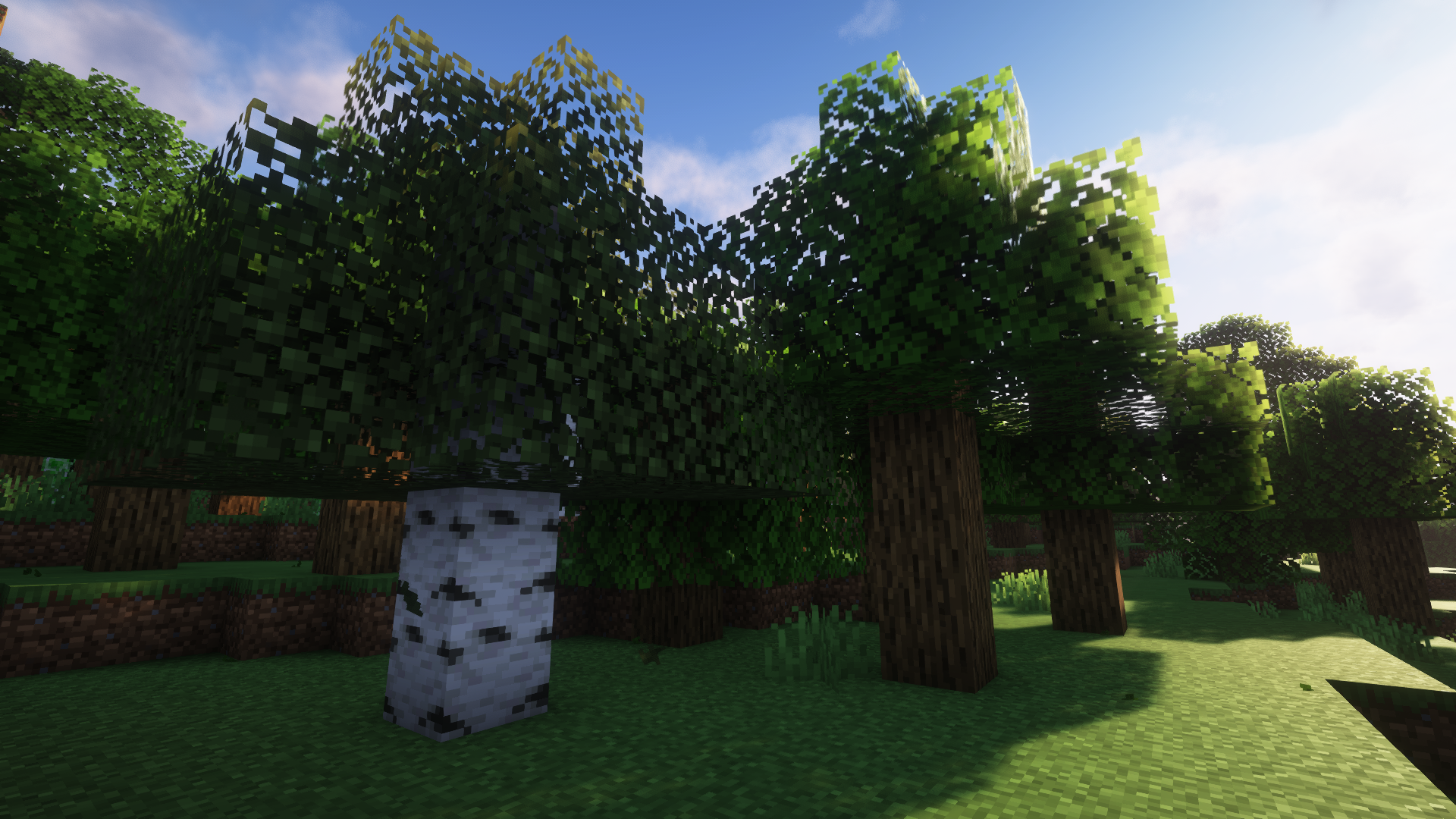Falling Leaves mod with shaders! 
-Complementary Shaders