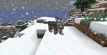 Snow Leopard hunting in the mountains