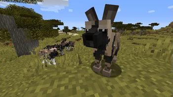 African Wild Dog pack, ready for a hunt