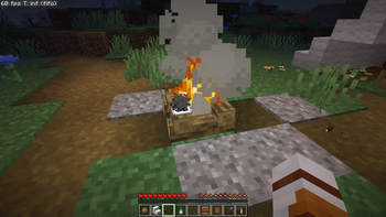 Marshmallow Cooking