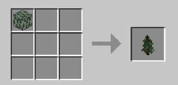 Spruce Example