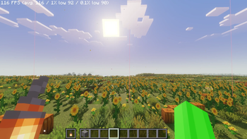 Sunflower Field