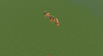 camel caravn