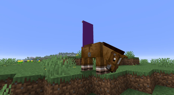 horse with banner