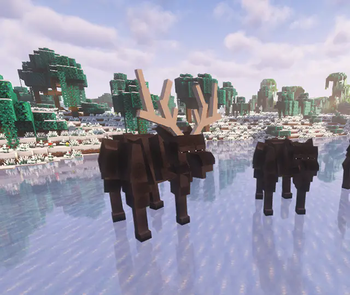 moose