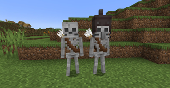 Fresh Normal and Villager Skeletons