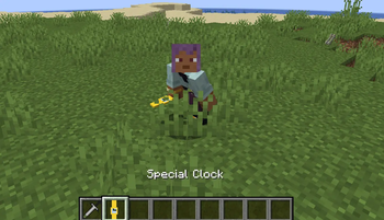 The New Special Clock not camed now