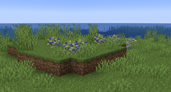 Blueberry Bushes
